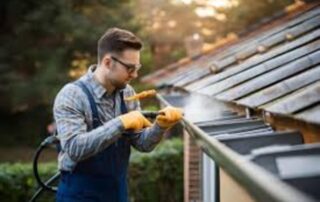 gutter cleaning