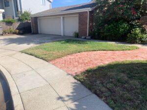 A concrete driveway and brick paver border with a grassy lawn before or after professional power washing by Spotfree Window.